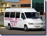 Mercedes Sprinter 312